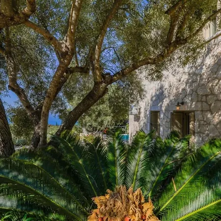 Panoramic Ocean Views Jiulita Lefkada Casa vacanze